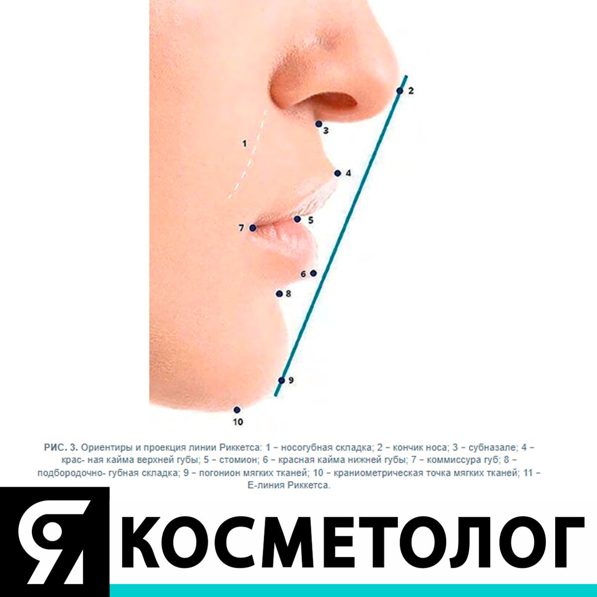 Косметологи телеграмм