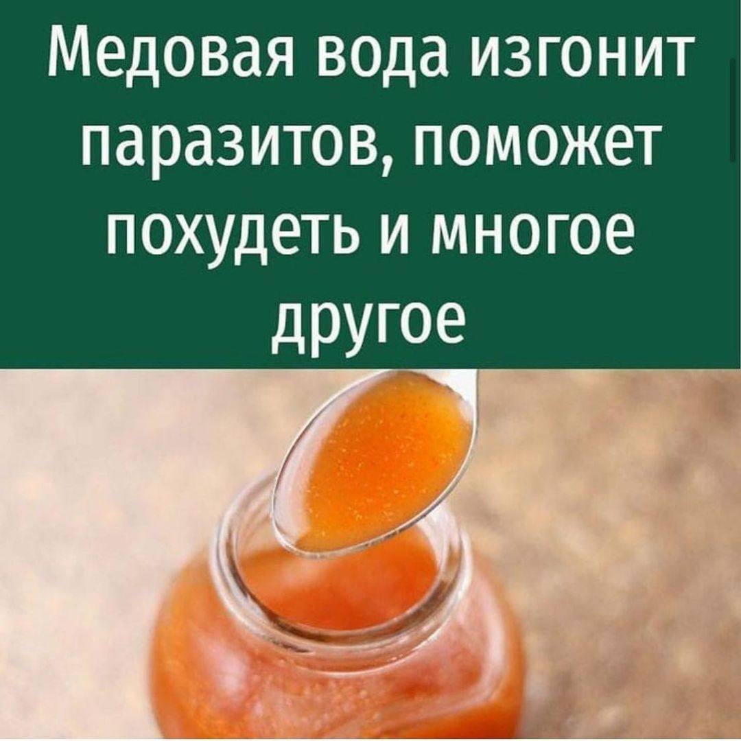 Медовая вода от паразитов