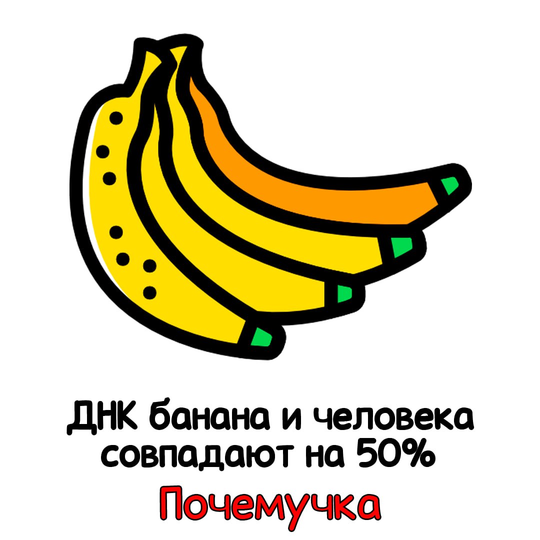 Связка бананов иконка