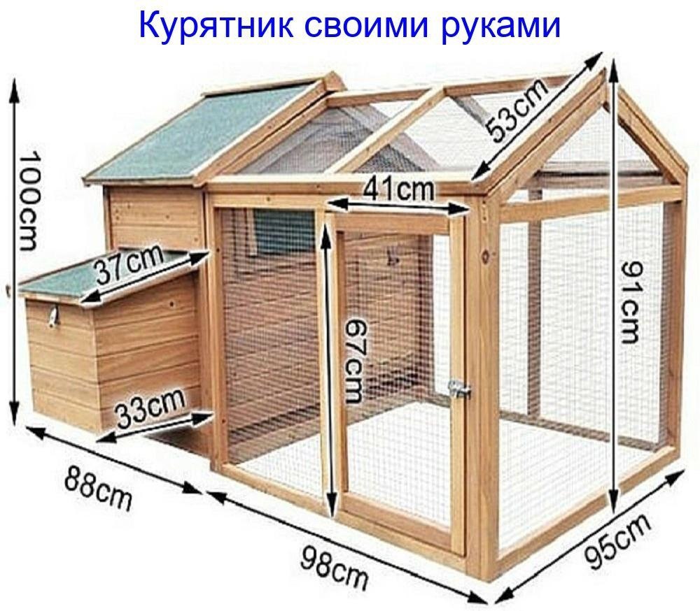 Домик для несушек своими руками. Курятник 5-10 кур несушек. Чертежи курятника на 20 кур зимний. Мини курятник на 5 кур.