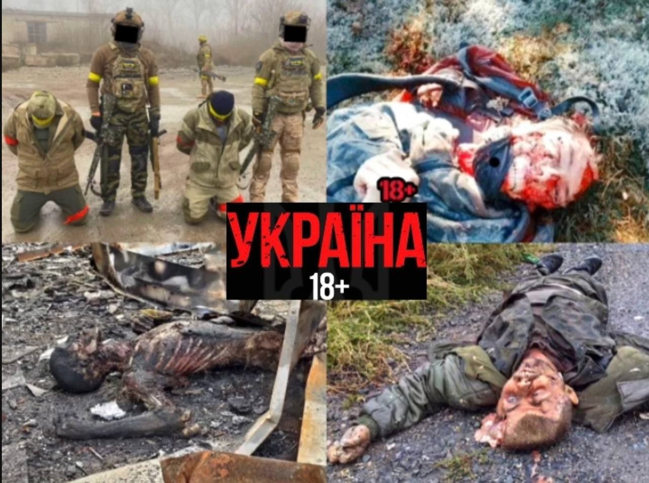 Война в украине без цензуры телеграмм фото 6