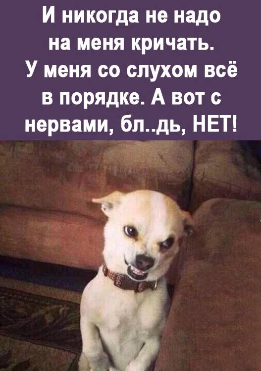 Не надо на меня орать