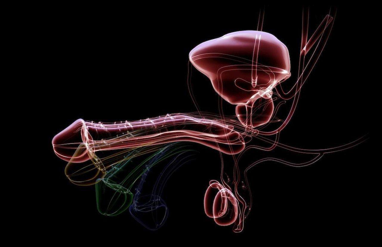 влияние оргазма мужчины на его организм фото 103
