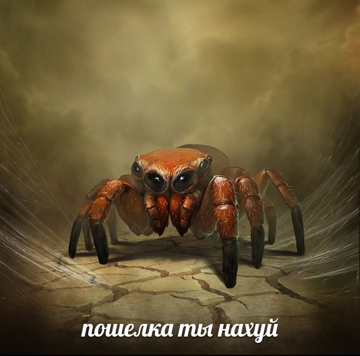 Болотный паук