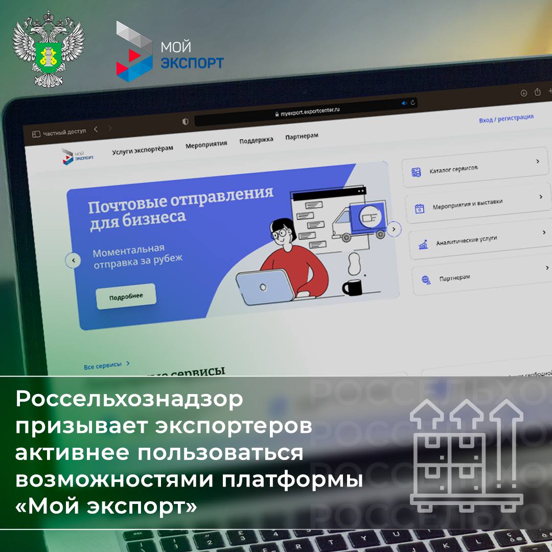 Мой экспорт вход. Вводить код охраны.