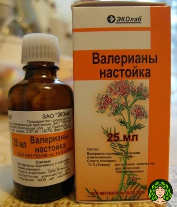 Чем заменить валерьянку в домашних условиях #5372 post - Здоровые и красивые (ixwRJ7Pk8hFlZGZi)