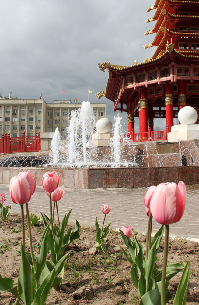 Элиста панорама. День Победы в парке.