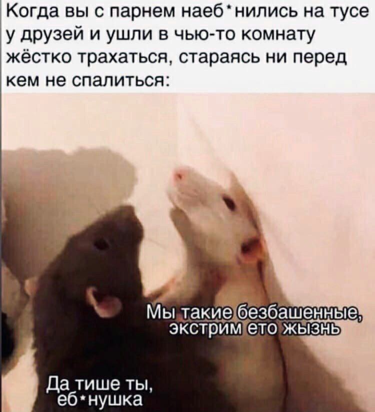 Мем душнило