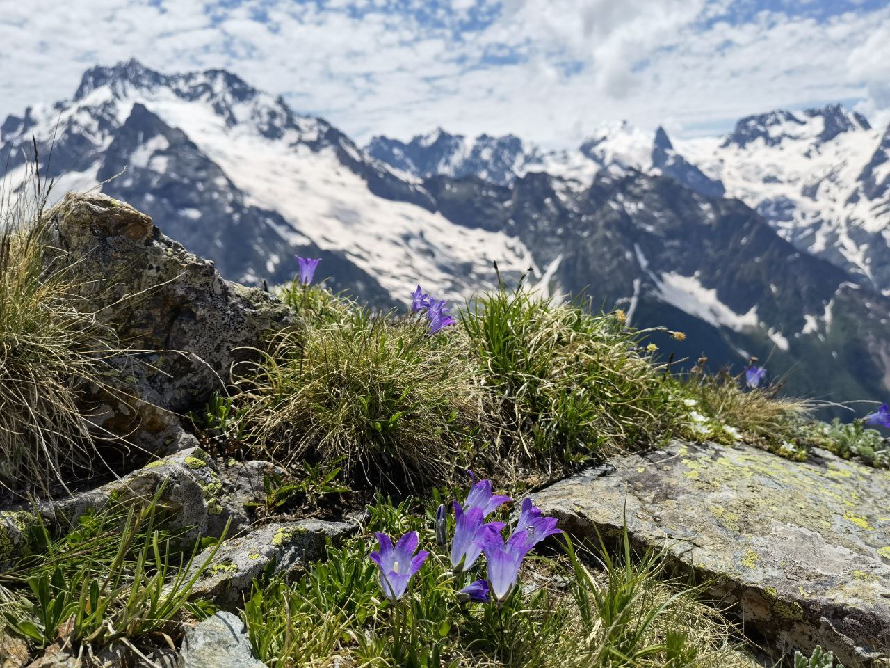 Русский ориенталист телеграмм фото 81