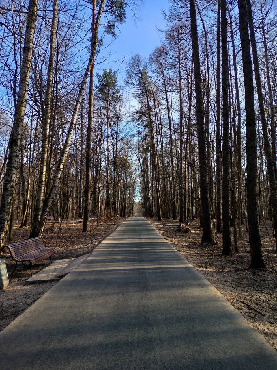 лесопарк измайлово москва