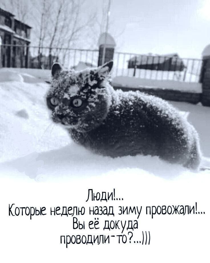 Зима вернулась картинки
