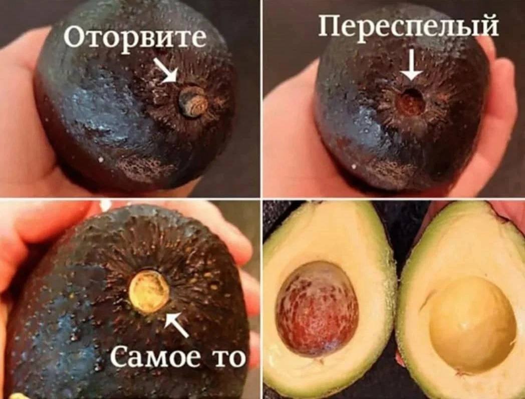 Выбираем только спелые продукты. 