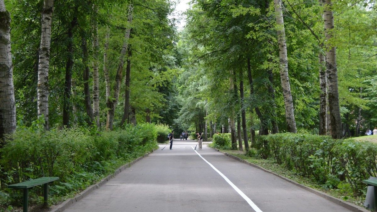 Лесопарк рязань. Парк имени Гагарина Рязань. Парк имение Гагарина Рязань. Приокский лесопарк Рязань. Лесопарк Рязань лето.