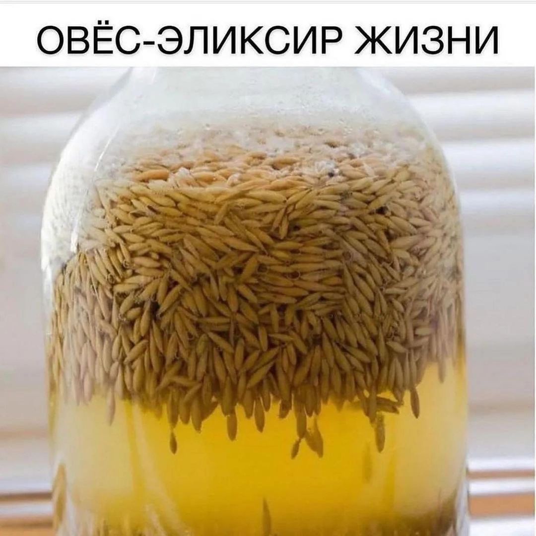 Отвар из овса