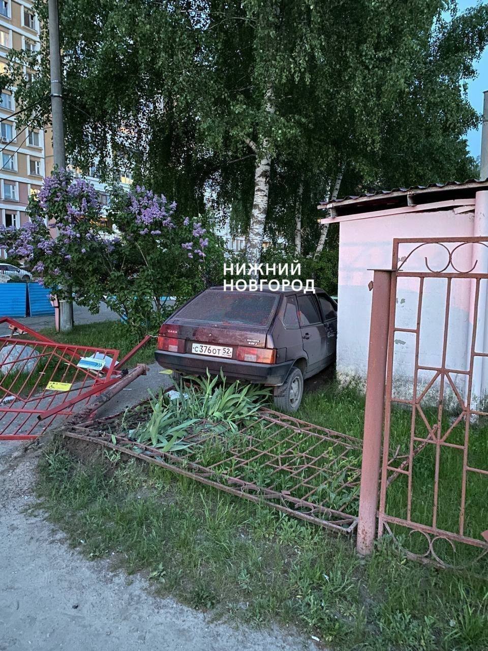Фото Пьяный Заяц