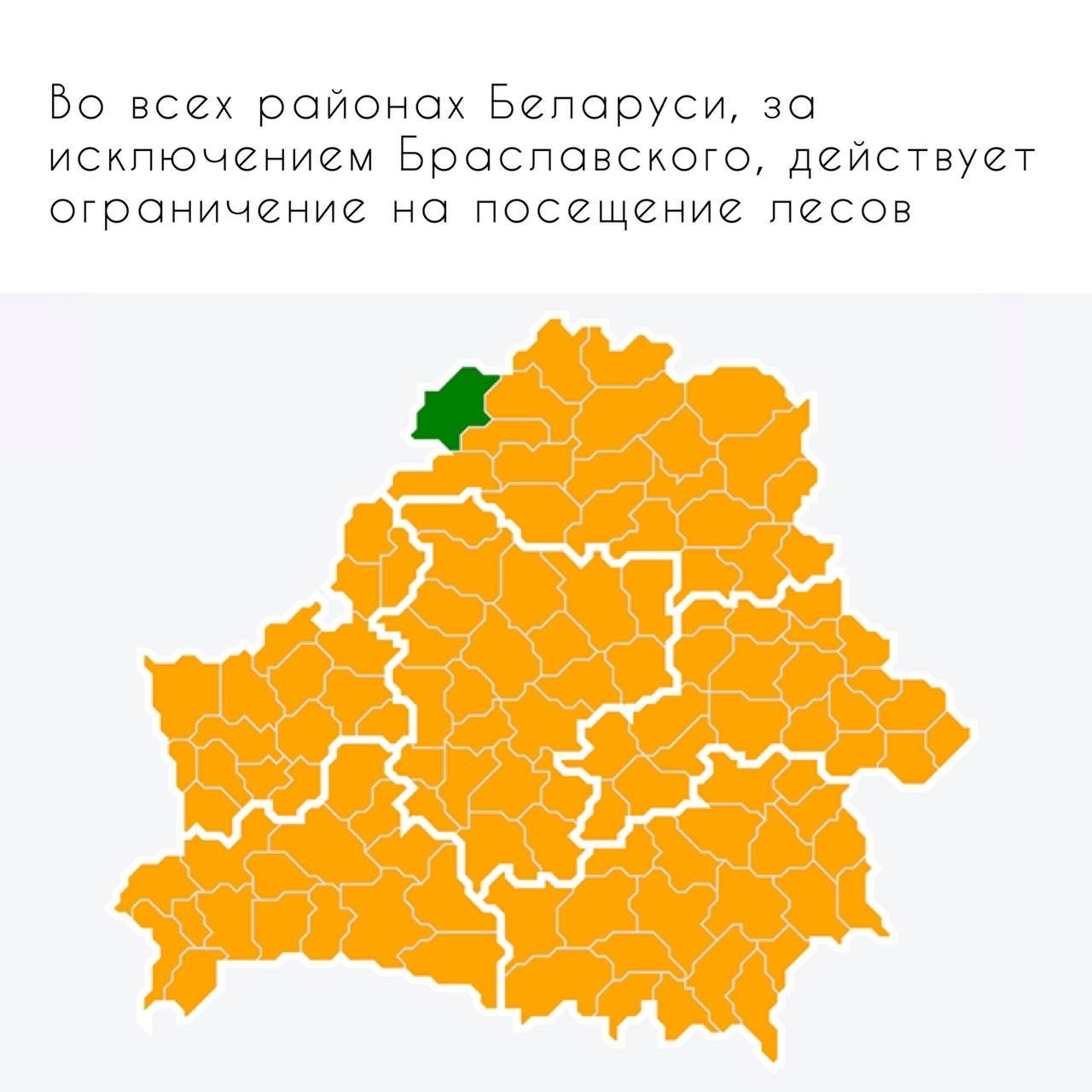 Карта запретов и ограничений на посещение лесов в районах республики беларусь