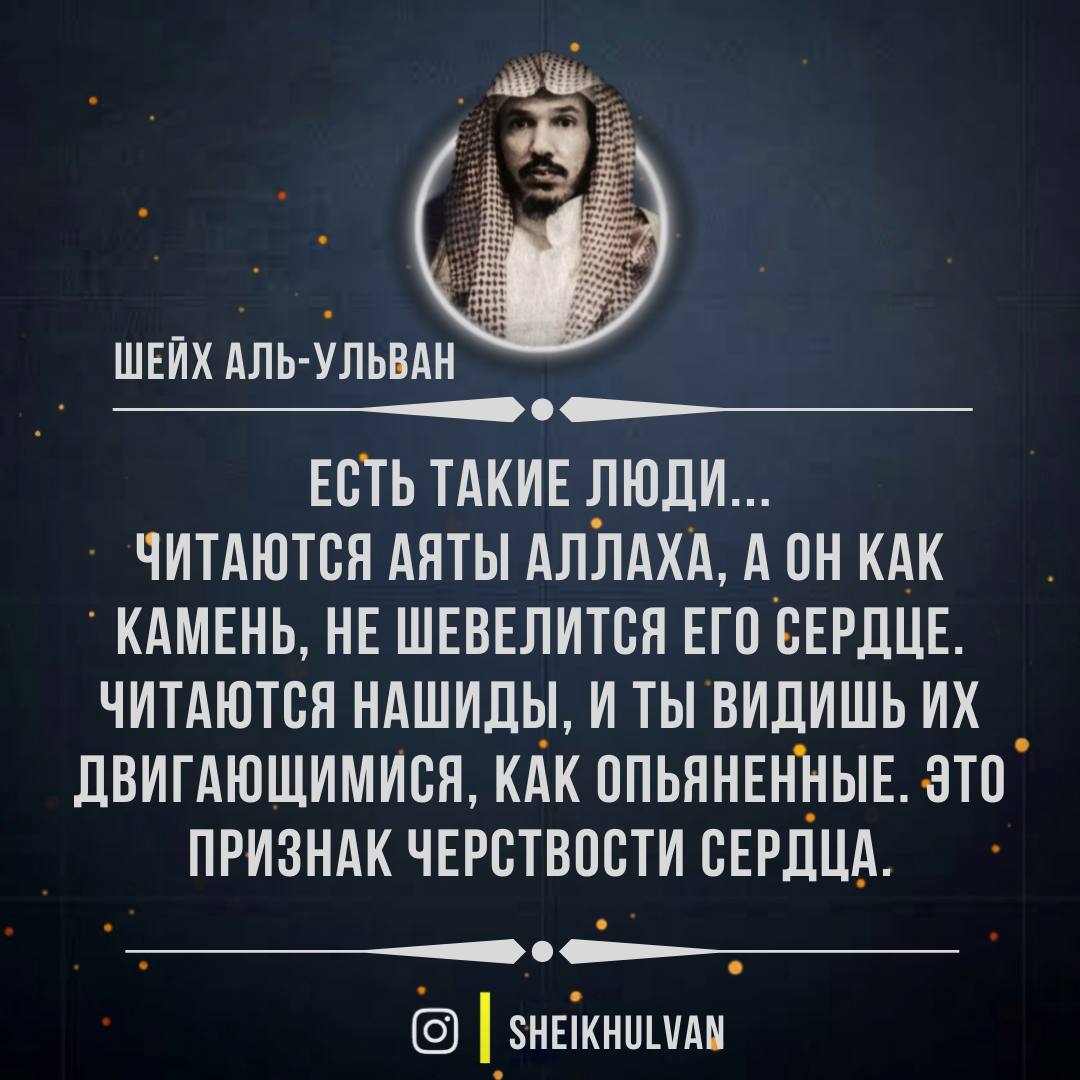 Шейх аль ульван