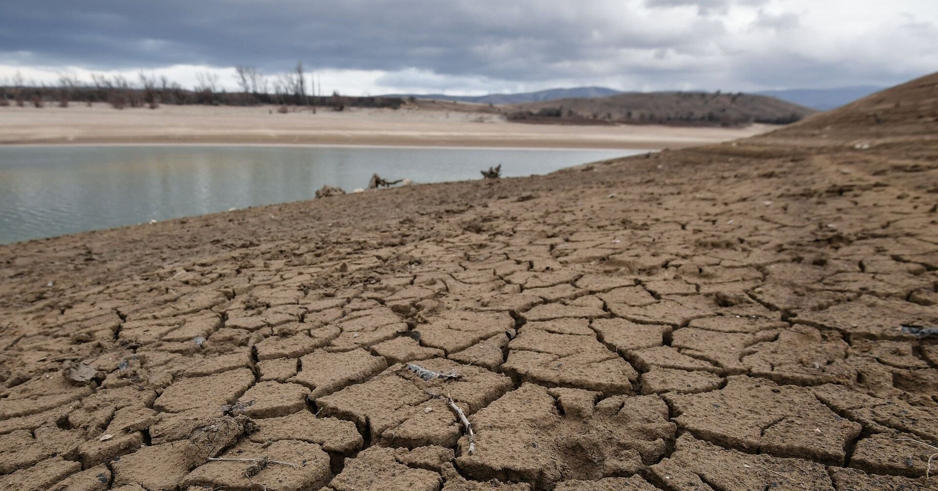 Высохли в следствие засухи. Засуха. Засуха в Крыму. Зимняя засуха. Засухи в морях.
